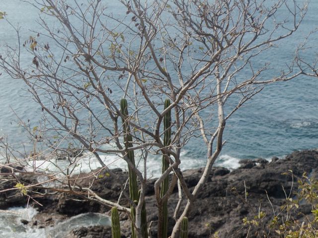 Mike and Angela's Wedding in Guanacaste, Costa Rica 124