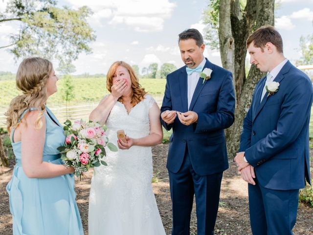 David and Deanna&apos;s Wedding in Centreville, Virginia 19