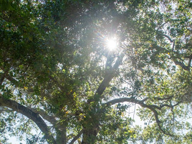 Matt and Sarah's Wedding in Monterey, California 7