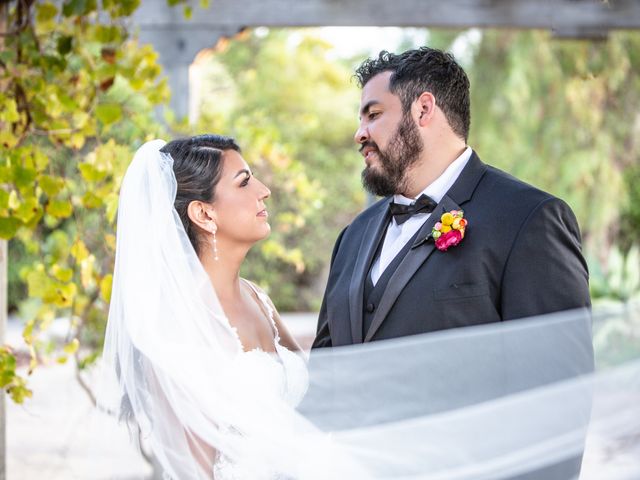 Amy and Carlos&apos;s Wedding in Santa Barbara, California 9