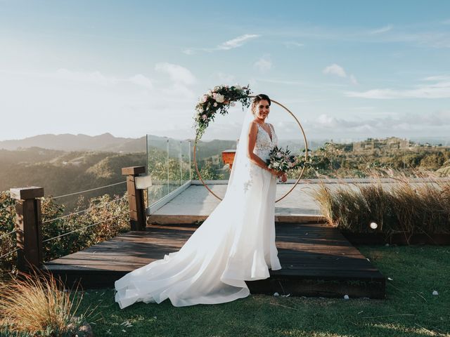 Carlos and Lissandra&apos;s Wedding in Cayey, Puerto Rico 43