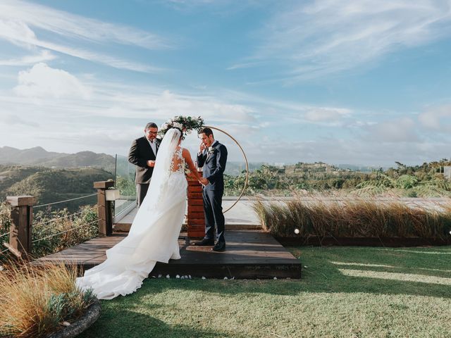 Carlos and Lissandra&apos;s Wedding in Cayey, Puerto Rico 54