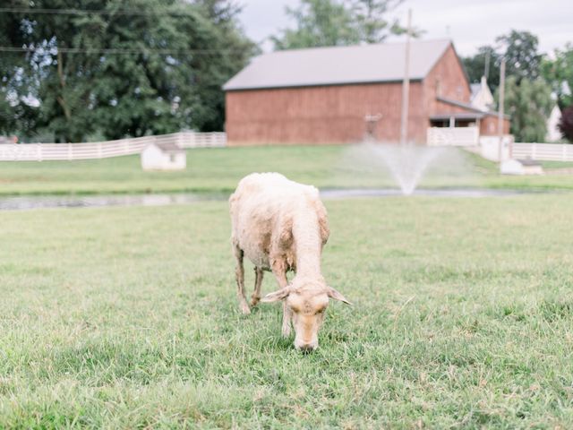 Angelina and Jake&apos;s Wedding in Lancaster, Pennsylvania 32