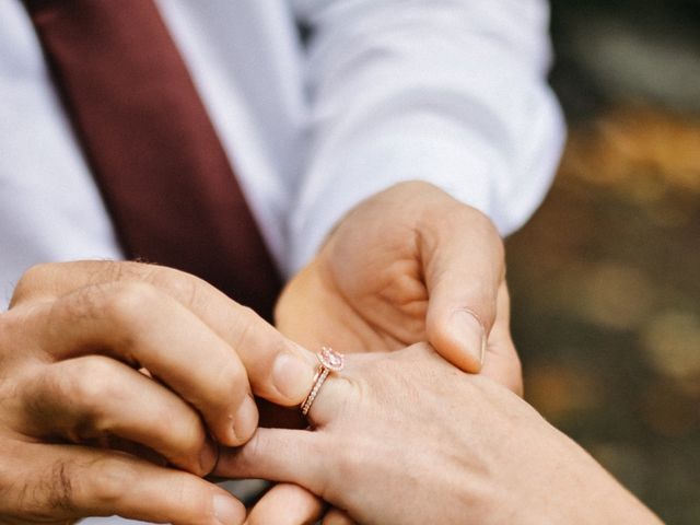 Chris and Mallary&apos;s Wedding in West Springfield, Massachusetts 4