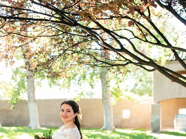 Victor and Jasmine&apos;s Wedding in Albuquerque, New Mexico 7