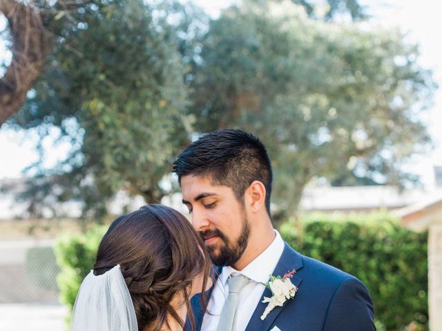 Max and Anne Marie&apos;s Wedding in Calistoga, California 2