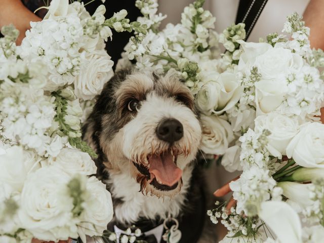 Allie and Louie's Wedding in Baltimore, Maryland 1