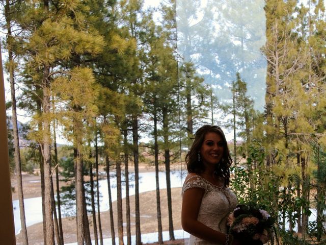 Sean and Jeni&apos;s Wedding in Flagstaff, Arizona 17