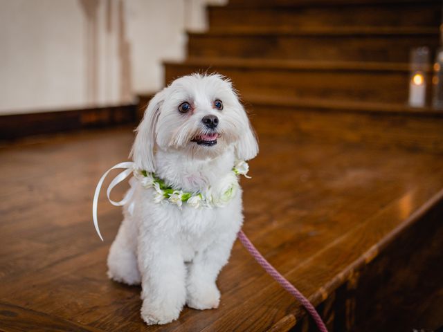 Ben and Erin&apos;s Wedding in Dripping Springs, Texas 15