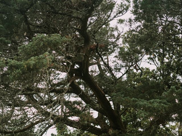 Tyler and Erin&apos;s Wedding in Ocracoke, North Carolina 19