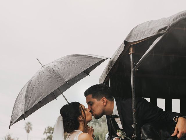 Jake and Sheily's Wedding in Santa Rosa, California 6