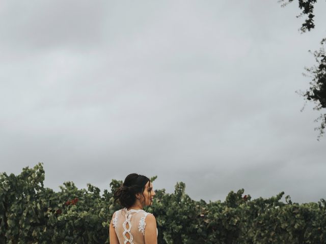 Jake and Sheily's Wedding in Santa Rosa, California 19