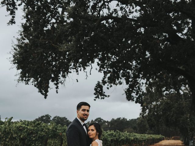 Jake and Sheily's Wedding in Santa Rosa, California 24