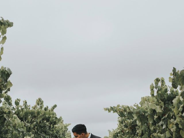 Jake and Sheily's Wedding in Santa Rosa, California 29
