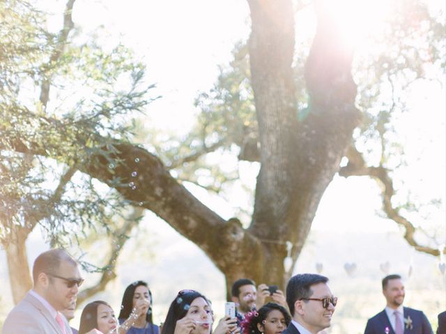 Kristin and Tobias&apos;s Wedding in Glen Ellen, California 15
