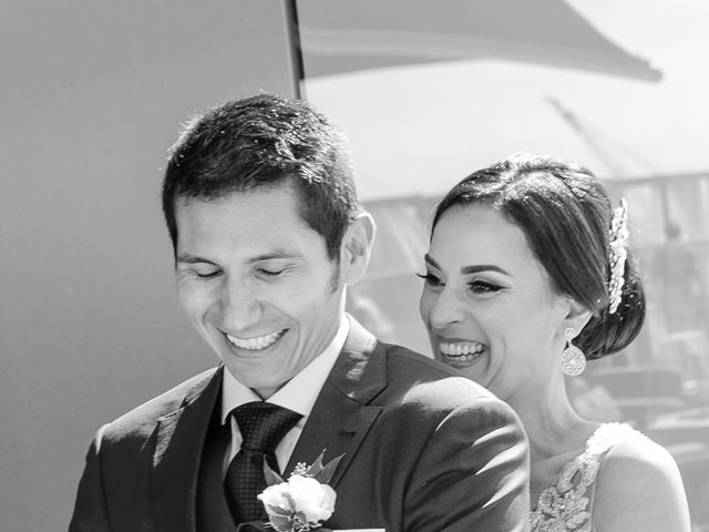 Frank and Ilianna&apos;s Wedding in San Diego, California 15
