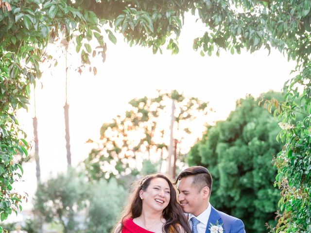 James and Amy&apos;s Wedding in San Diego, California 3