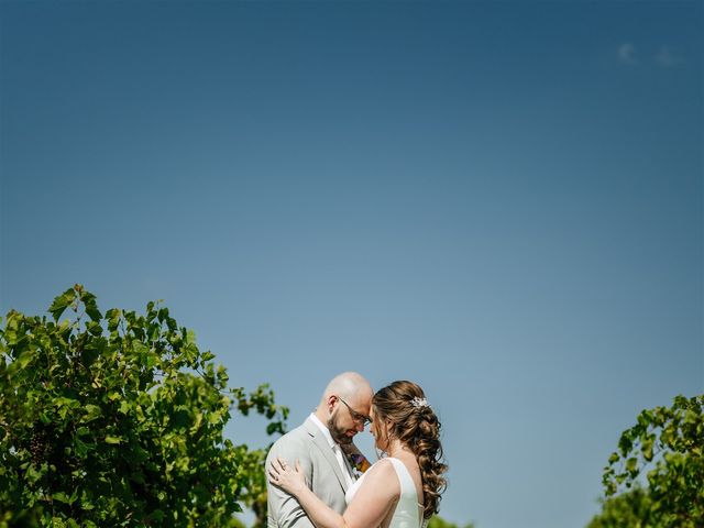 Luke and Michelle's Wedding in Hebron, Illinois 7