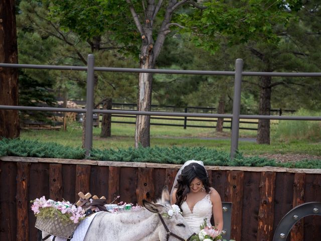 Esteban and Nayely&apos;s Wedding in Larkspur, Colorado 14