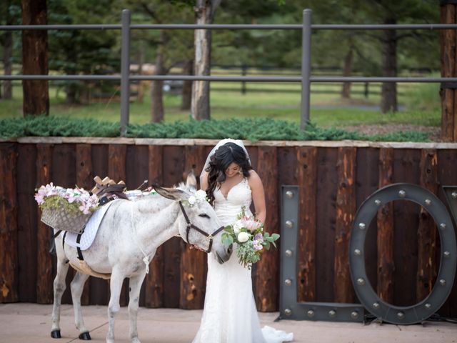 Esteban and Nayely&apos;s Wedding in Larkspur, Colorado 16