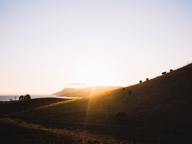 Easton and Hana&apos;s Wedding in Cayucos, California 55