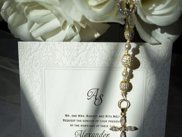 Sydney and Alex's Wedding in Shelby, Michigan 23