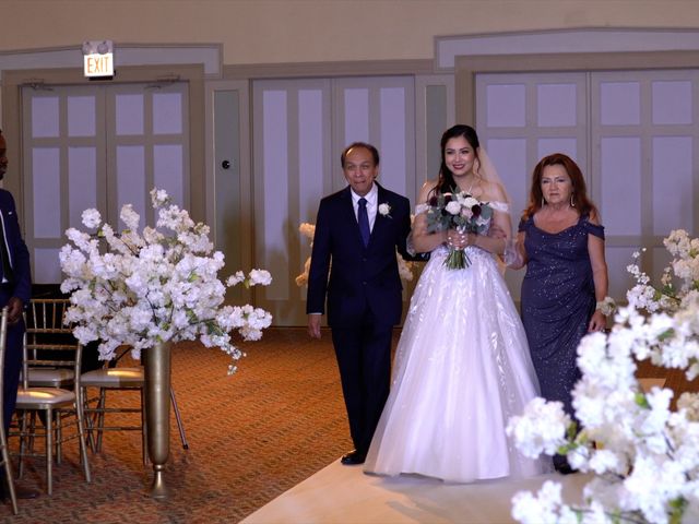 Bogoci and Ailicia&apos;s Wedding in Chicago, Illinois 11
