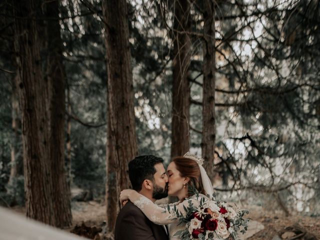 Pasha and Tannum's Wedding in Lake Arrowhead, California 7