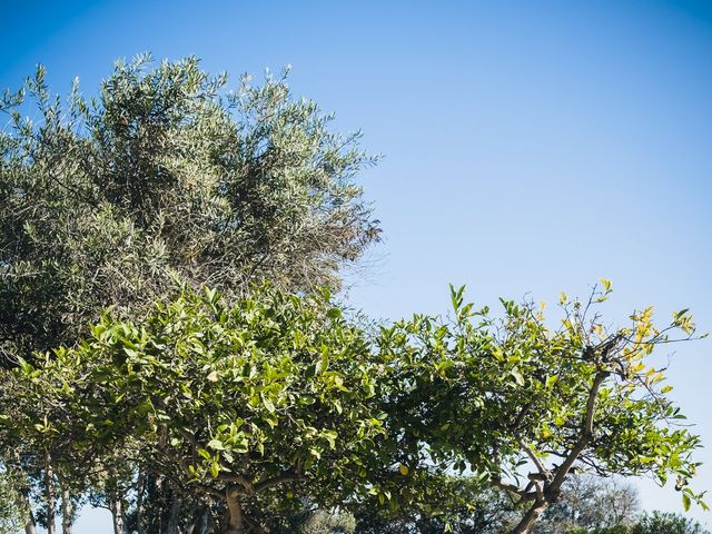 Jess and Chris&apos;s Wedding in Malibu, California 87