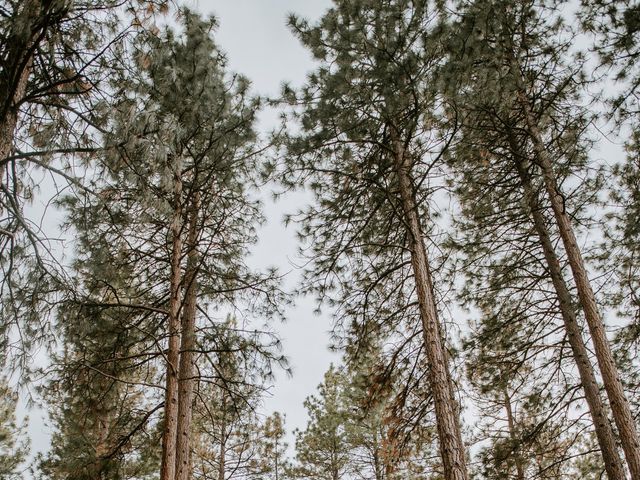 Jesston and Melissa's Wedding in Bend, Oregon 20