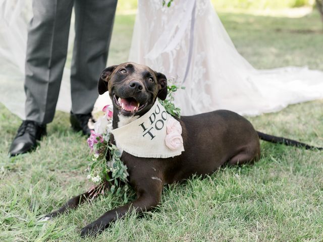 Ally and Jonathon&apos;s Wedding in Angels Camp, California 47