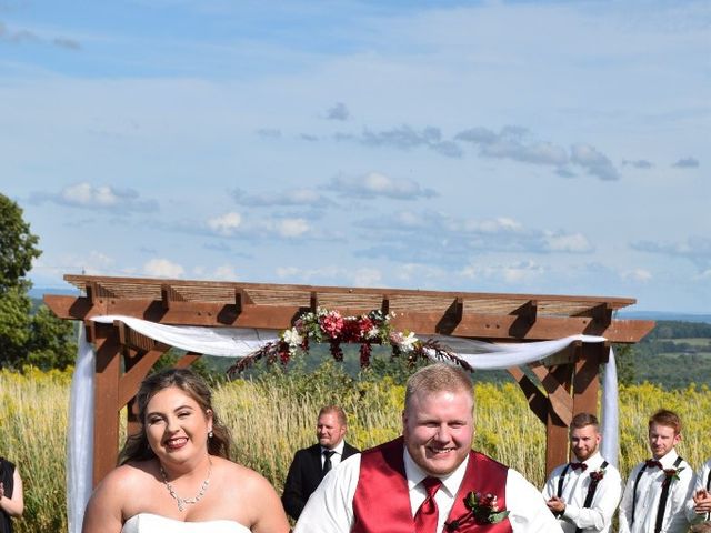 Matt and Marissa 's Wedding in Castile, New York 5