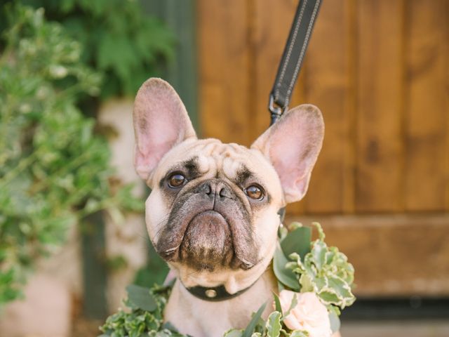 Christiaan and Cara&apos;s Wedding in Temecula, California 13