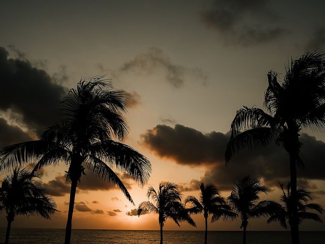 Robin and Rick&apos;s Wedding in Cancun, Mexico 89