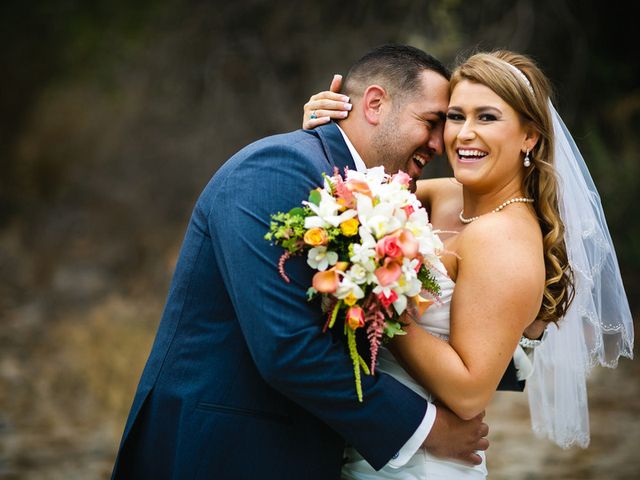 Brooke and Eric's wedding in California 8