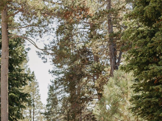 Alexis and Preston's Wedding in South Lake Tahoe, California 54