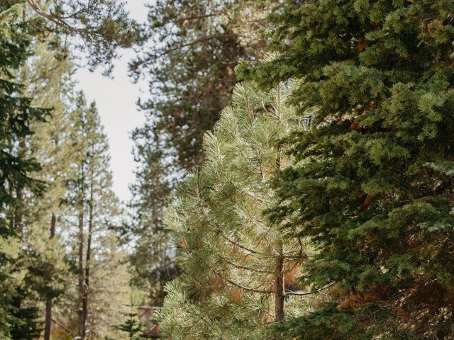 Alexis and Preston's Wedding in South Lake Tahoe, California 57