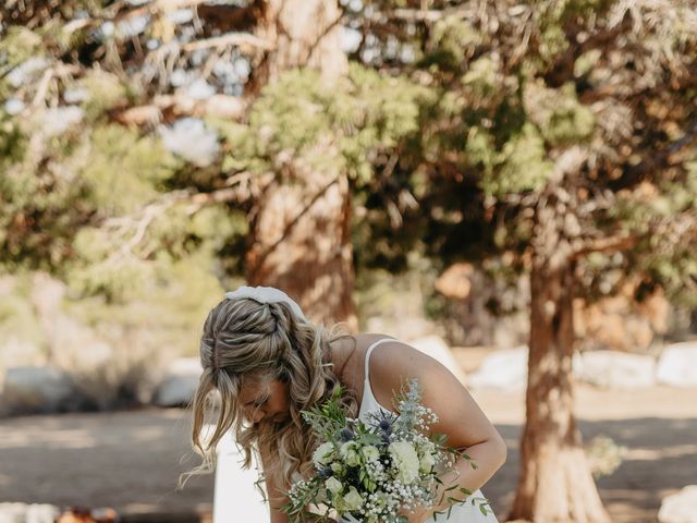 Alexis and Preston's Wedding in South Lake Tahoe, California 84