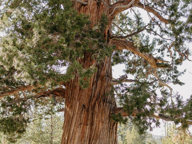Alexis and Preston's Wedding in South Lake Tahoe, California 105