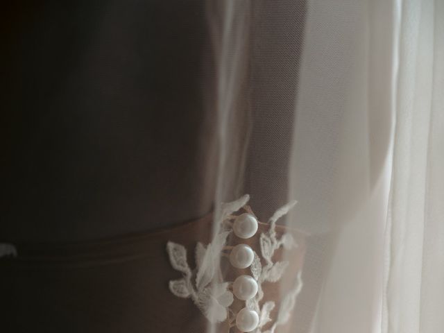 Stuart and Irene's Wedding in Milwaukee, Wisconsin 8