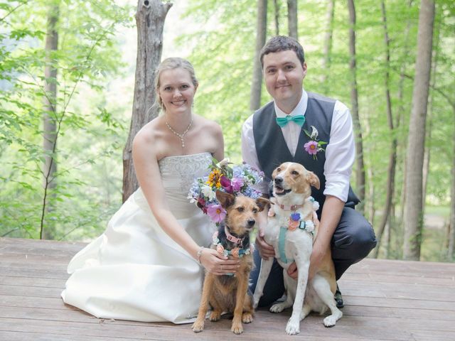 Dallas and Darrah&apos;s Wedding in Horse Shoe, North Carolina 12