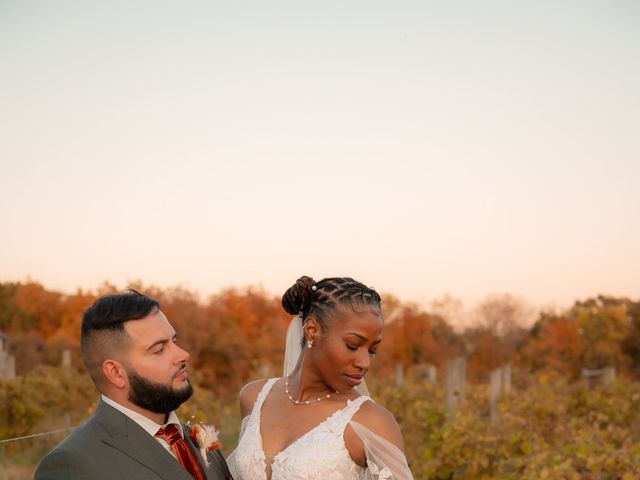 Andrew and Eboni's Wedding in Downs, Illinois 7