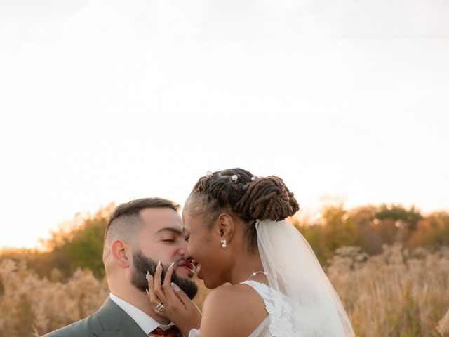 Andrew and Eboni's Wedding in Downs, Illinois 8