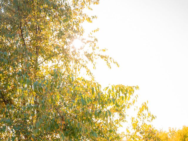 Andrew and Eboni's Wedding in Downs, Illinois 16