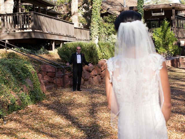 Steven and Suzanne&apos;s Wedding in Sedona, Arizona 27