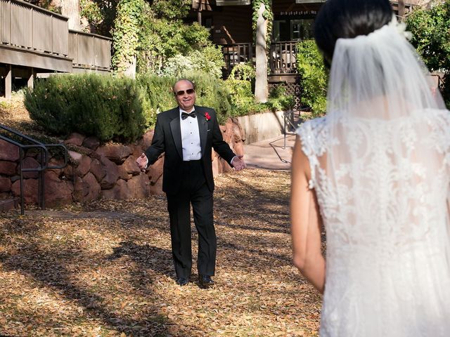 Steven and Suzanne&apos;s Wedding in Sedona, Arizona 28