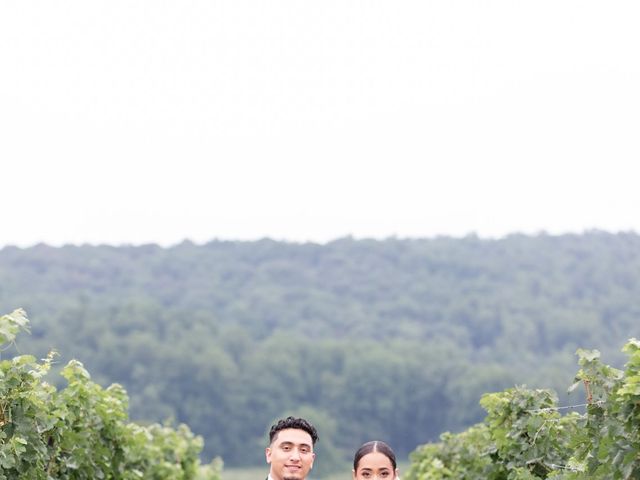 Javier and Natalie&apos;s Wedding in Purcellville, Virginia 21