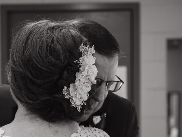 Steven and Hannah's Wedding in Normal, Illinois 11
