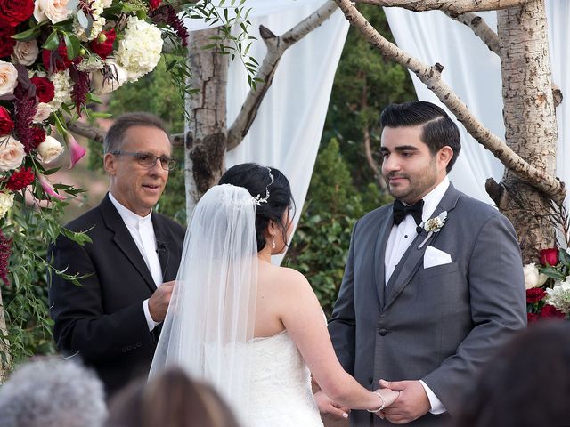 Dimitriy and Monica&apos;s Wedding in Sedona, Arizona 123