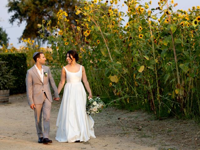 Jake and Zoe&apos;s Wedding in Sonoma, California 1